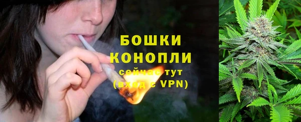 ешки Лагань