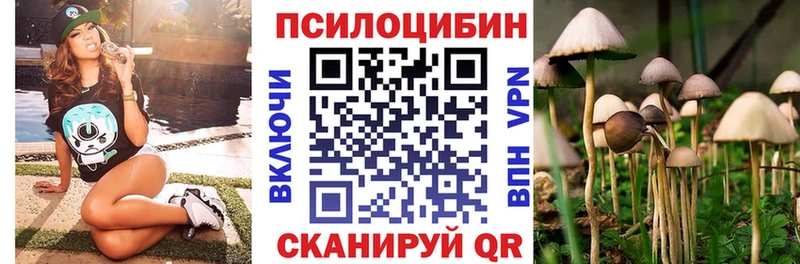 MEGA зеркало  Строитель  Галлюциногенные грибы MAGIC MUSHROOMS 