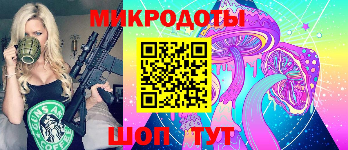 Псилоцибиновые грибы Psilocybe Строитель