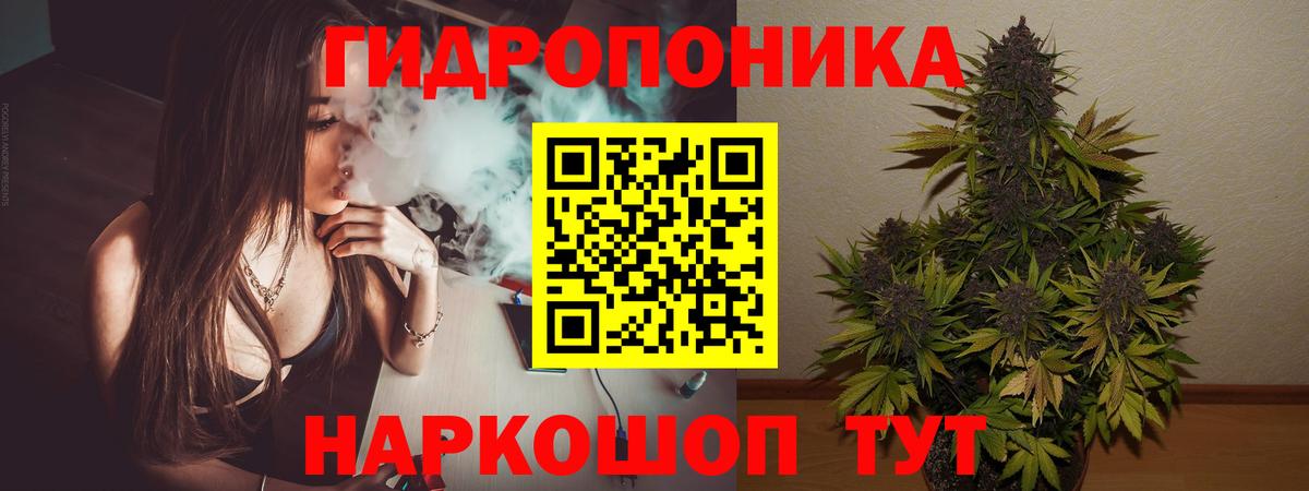 Каннабис VHQ  Каннабис Bruce Banner  Шишки марихуана конопля  Строитель  Бошки Шишки семена  Вход с VPN 